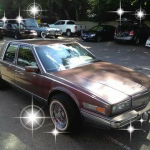 Meet your Posher, Terrence